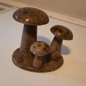 Petosky stone mushrooms